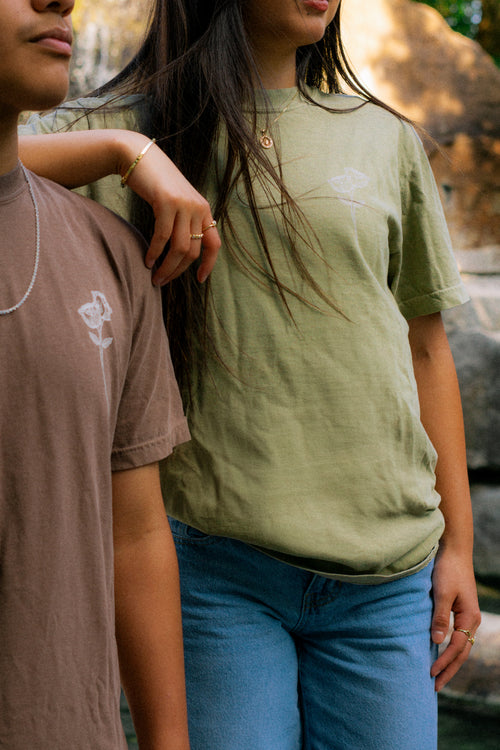 Cafecito y Cultura Series